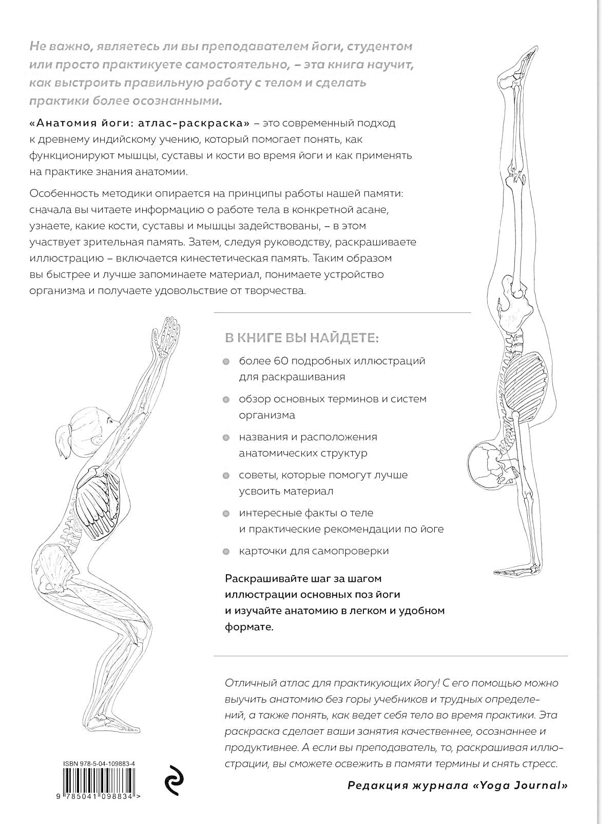 Раскраска Атлас по анатомии йоги: детальные иллюстрации поз йоги и описание их воздействия на различные группы мышц