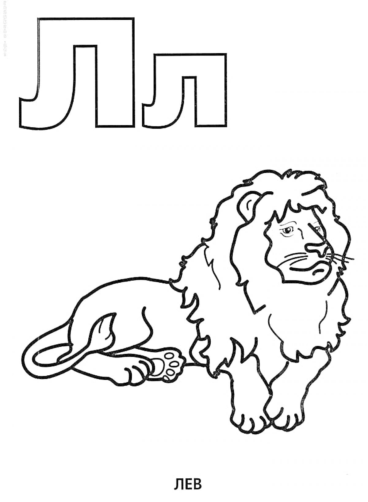 На раскраске изображено: Лев, Животные, Русский алфавит, Обучение, Буквы, Буква л, Письма