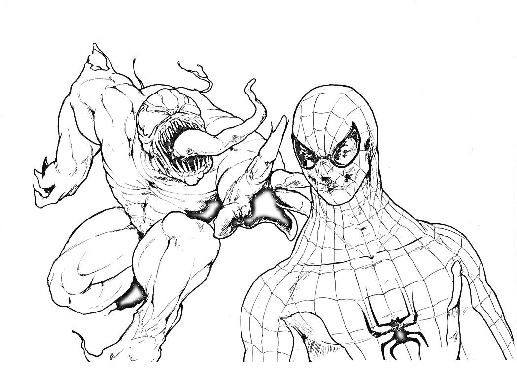 Раскраска Веном и Человек-Паук в атакующей и защитной позе