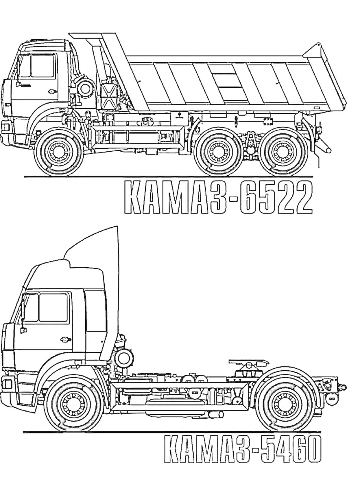 Раскраска Камаз КАМАЗ-6522 и КАМАЗ-5460 с детализацией кузова и шасси