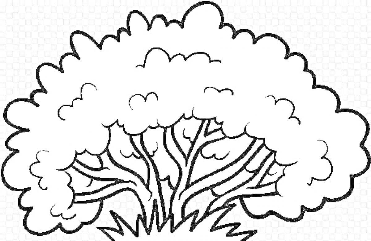 На раскраске изображено: Листья, Природа, Деревья, Ветка, Контурные рисунки, Кусты