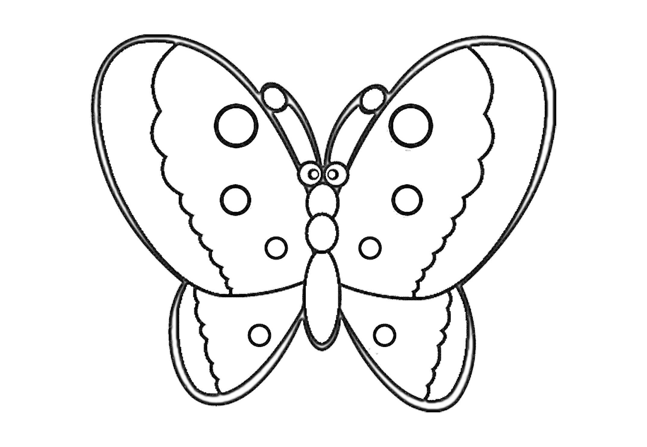 Раскраска Бабочка с узорчатыми крыльями и круглыми пятнами
