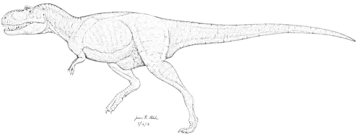 Раскраска Гигантозавр на белом фоне, профильное изображение