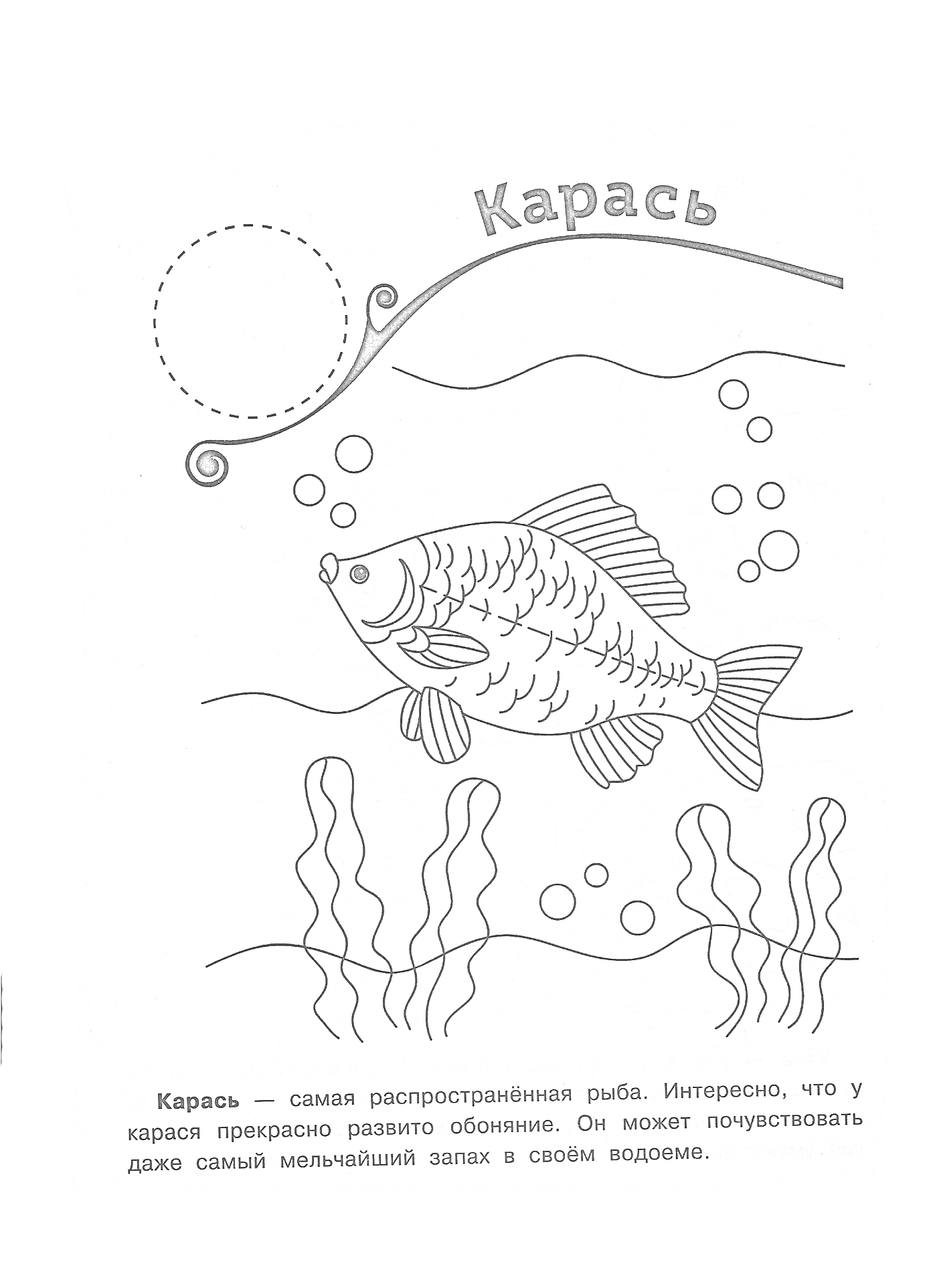 На раскраске изображено: Карась, Рыба, Пруд, Водоросли, Пузыри, Вода, Природа