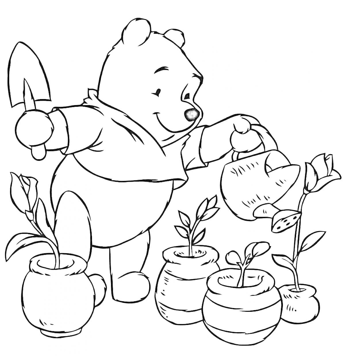 На раскраске изображено: Медведь, Полив, Цветы, Горшки, Лейка