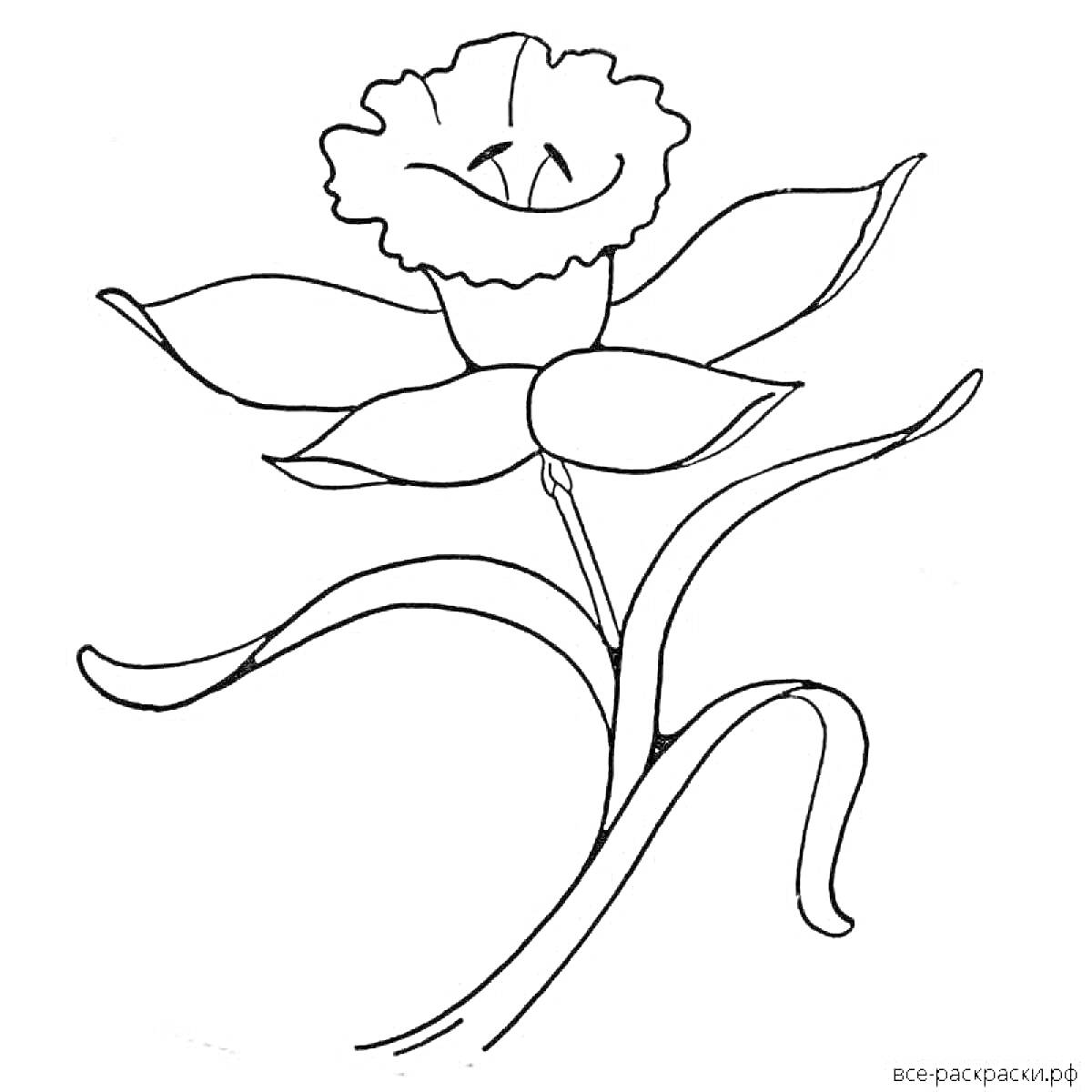 На раскраске изображено: Аленький цветочек, Лепестки, Листья, Стебель