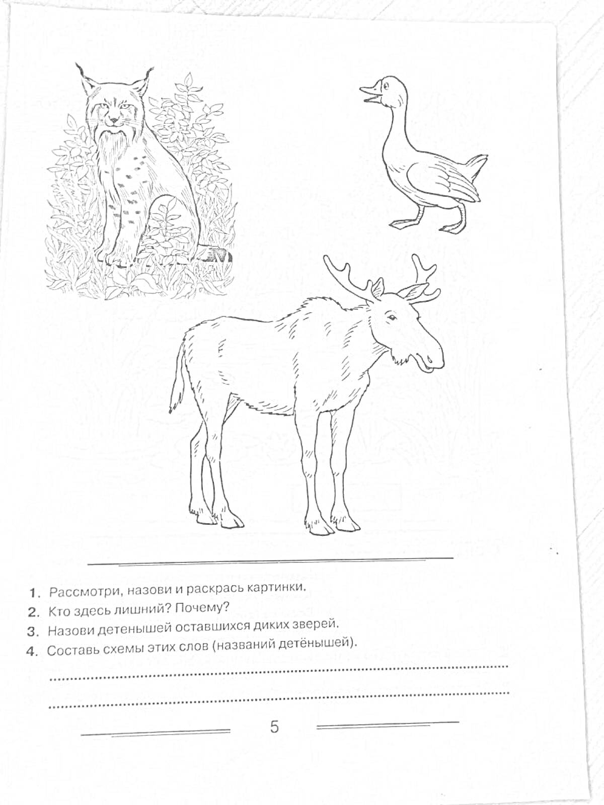 Раскраска раскраска с изображениями рыси, лося и утки