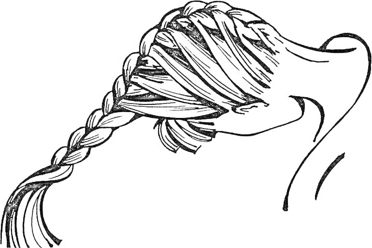 Раскраска Волосы с заплетенной косой на голове девушки
