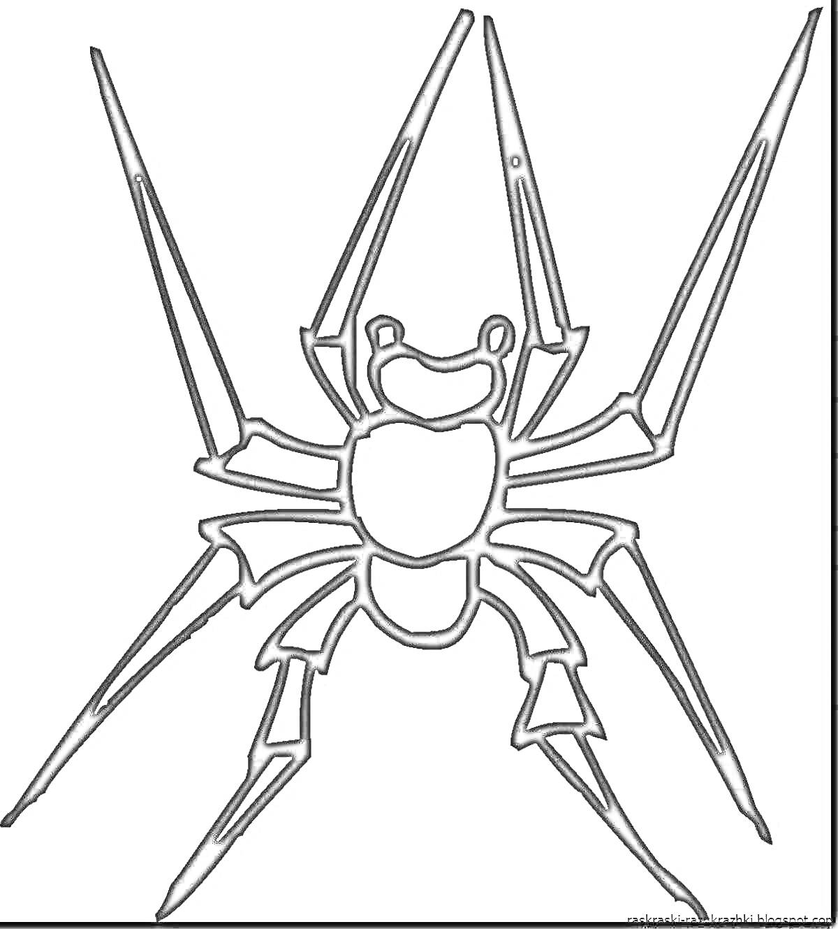 Раскраска Изображение страшного паука с длинными ногами