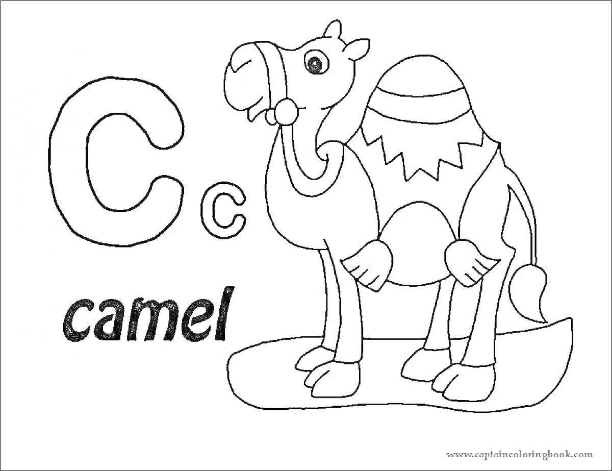 Раскраска Буква Ленд, Camel. Буква C, верблюд.