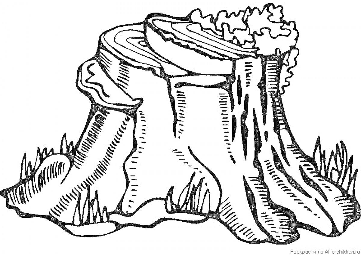 Раскраска Пень с травой и кустарником