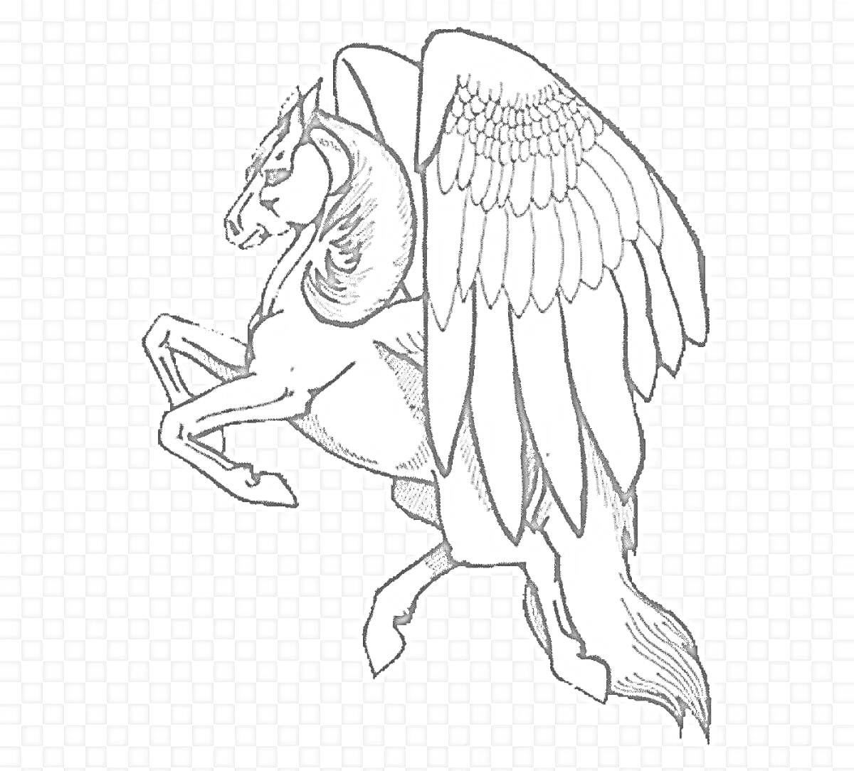На раскраске изображено: Пегас, Крылья, Лошадь, Фантазия, Античность, Мифические существа