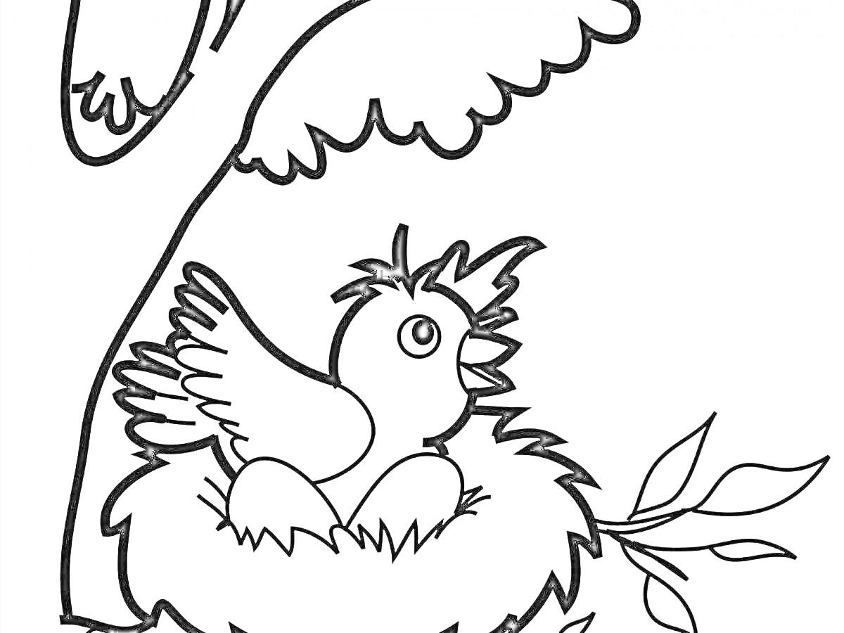 Раскраска Птица в гнезде на дереве с ветками