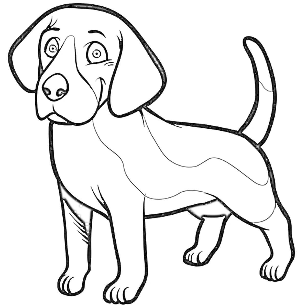 На раскраске изображено: Собака