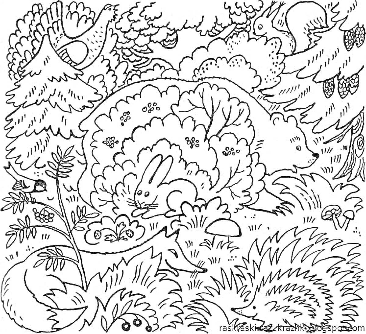 На раскраске изображено: Лес, Кролик, Медведь, Птичка, Ежик, Лиса, Природа, Кусты, Деревья, Грибы, Животное