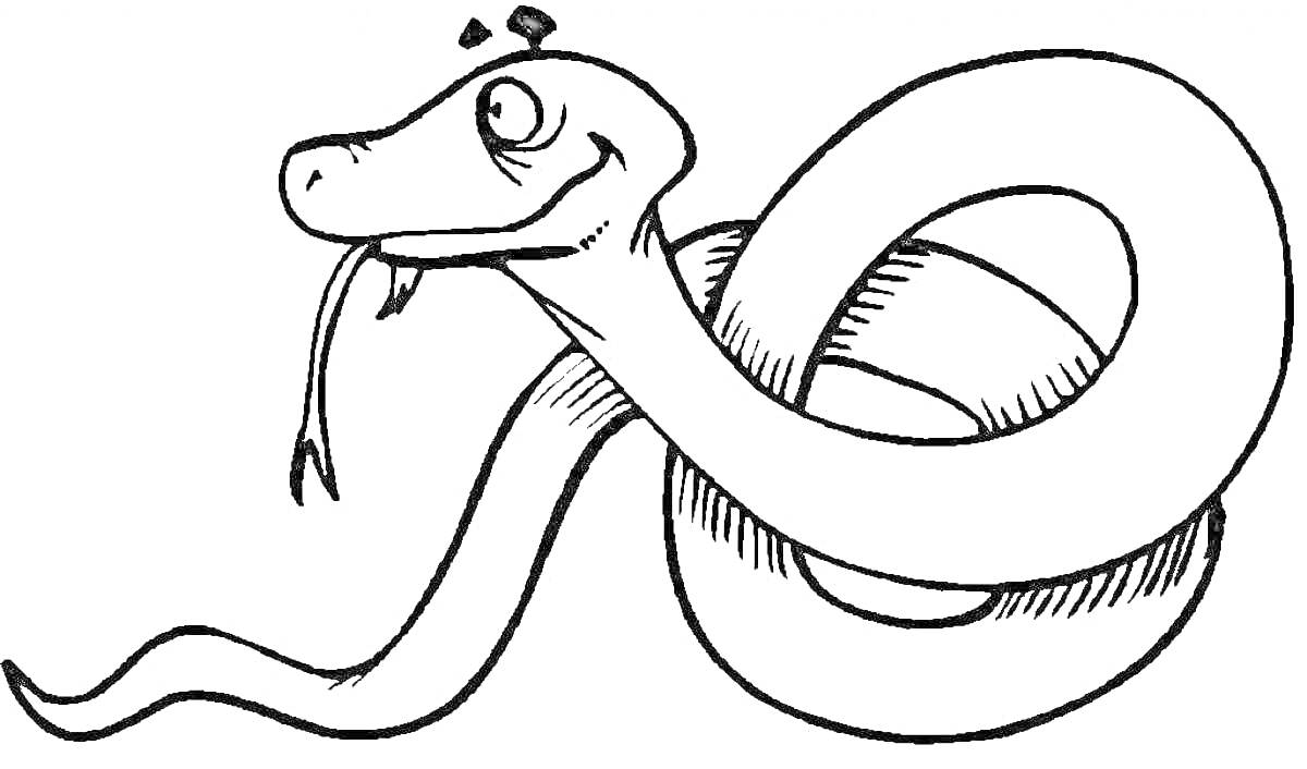 Раскраска Улыбающаяся змея с высунутым языком, закрученная в кольцо