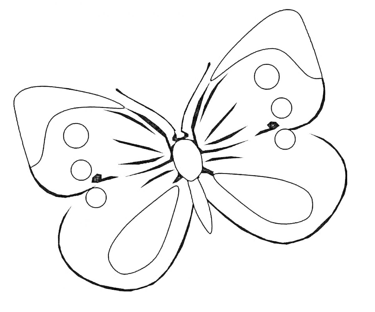 Раскраска бабочка с узорами на крыльях