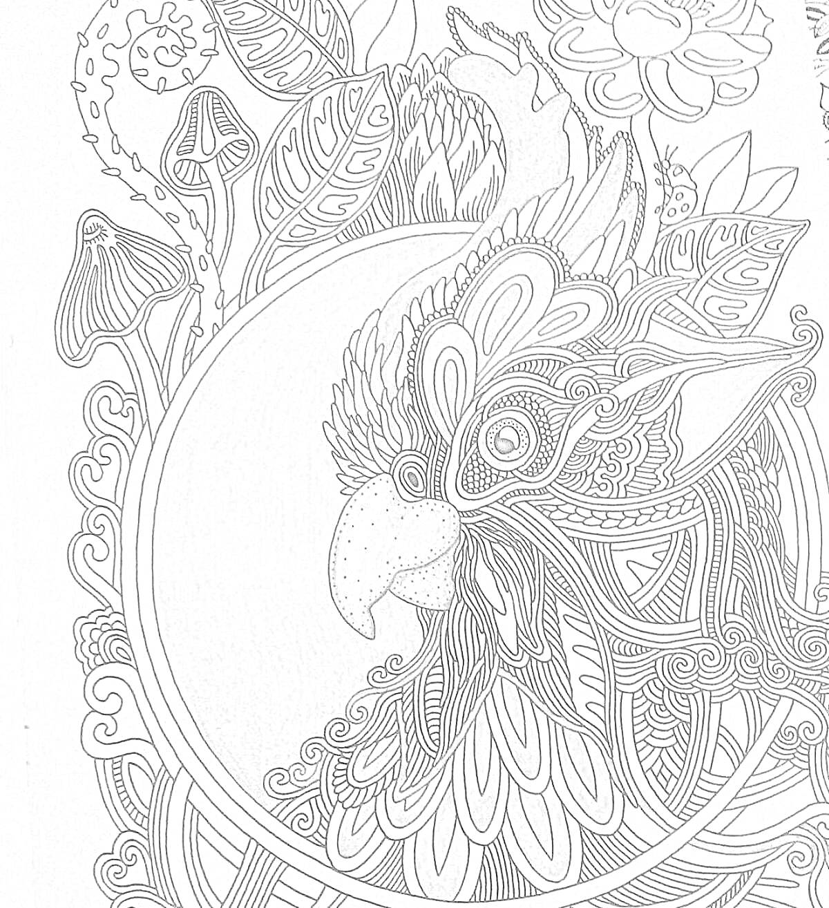 На раскраске изображено: Птица, Цветы, Листья, Узоры, Ветер, Природа