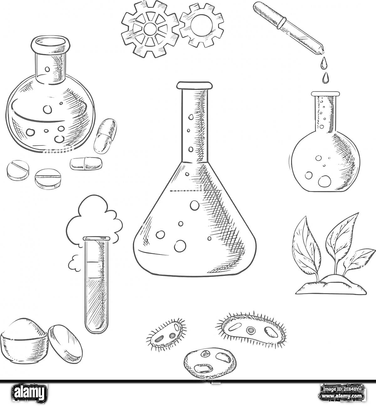 На раскраске изображено: Химия, Таблетки, Шестеренки, Пипетка, Листья, Бактерии, Лаборатория, Наука, Исследования