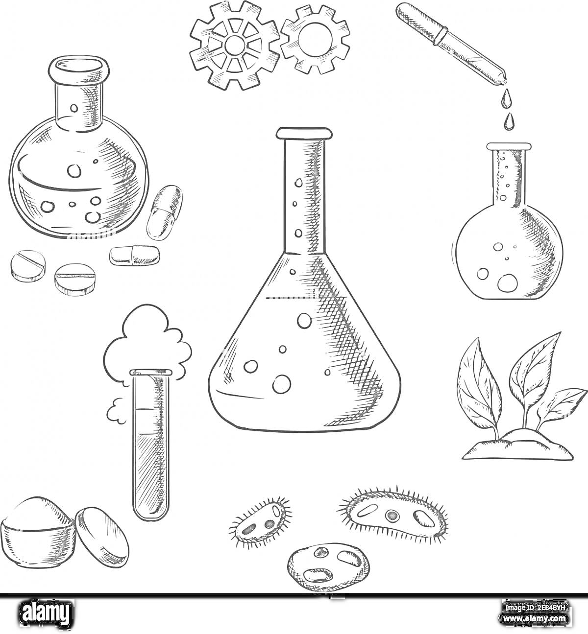 Раскраска Колбы с химическими веществами, таблетками, шестеренками, пипеткой, листьями, пузырьками и бактериями