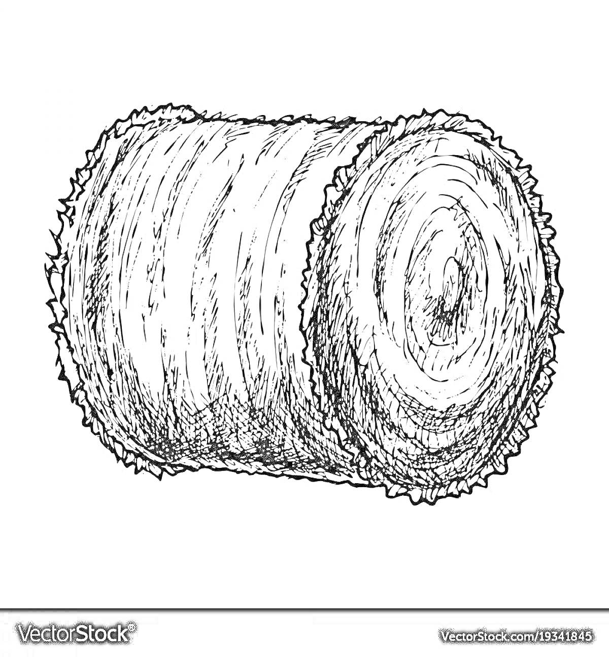 Раскраска Тюк сена в рулоне, нарисованный карандашом, с детализированной текстурой.