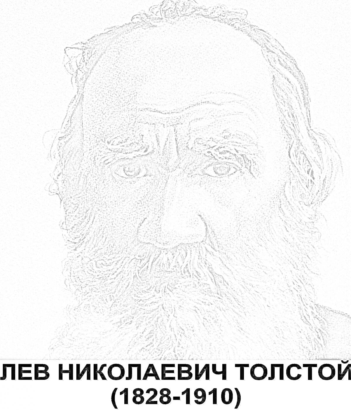 Раскраска Портрет Льва Николаевича Толстого с датами жизни снизу (1828-1910)