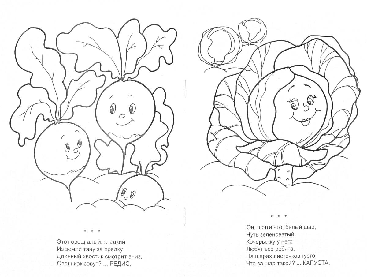 На раскраске изображено: Овощи, Капуста, Ботва, Развивающая книжка