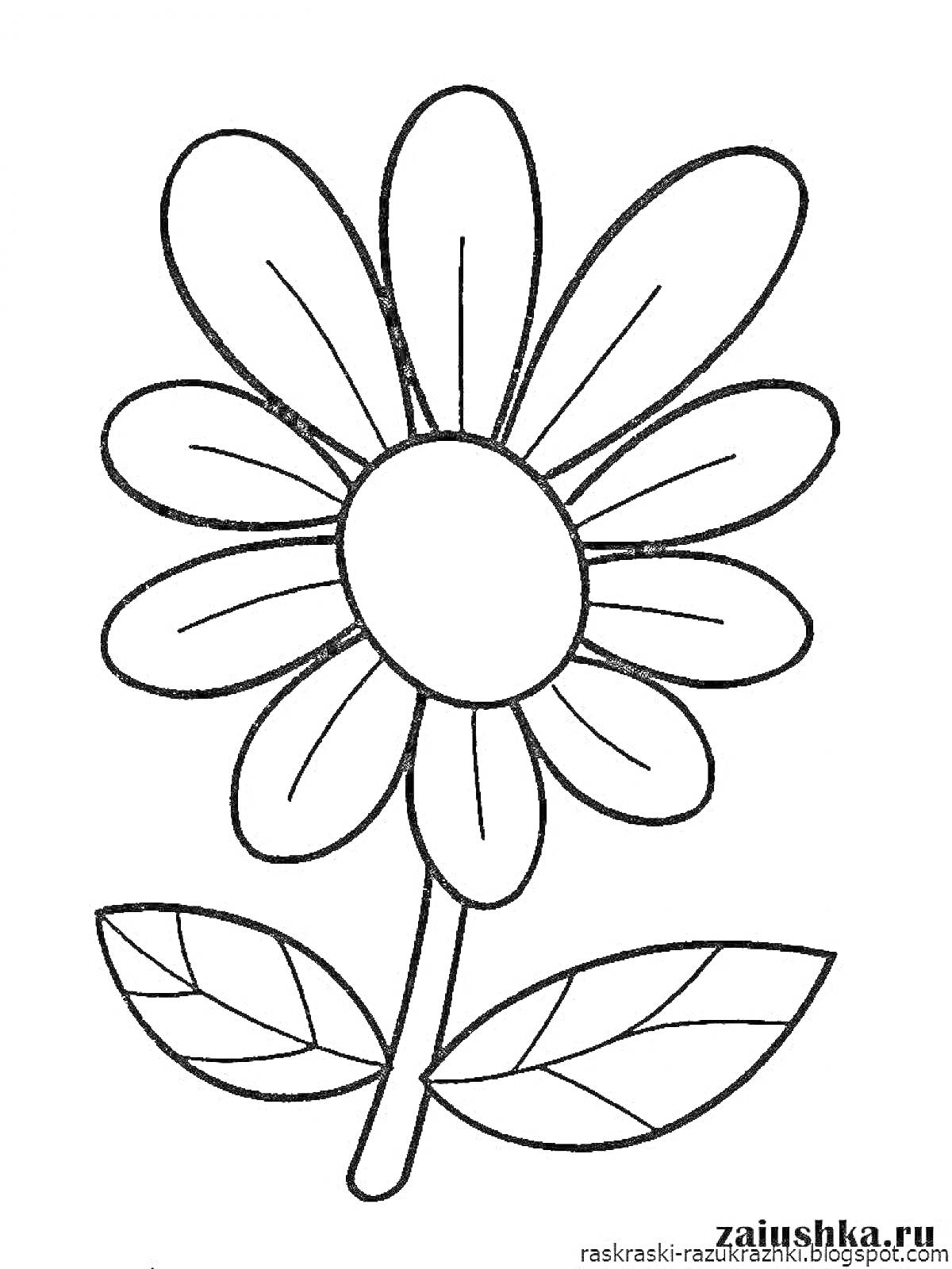 На раскраске изображено: Ромашка, Лепестки, Листья, Стебель, Цветы