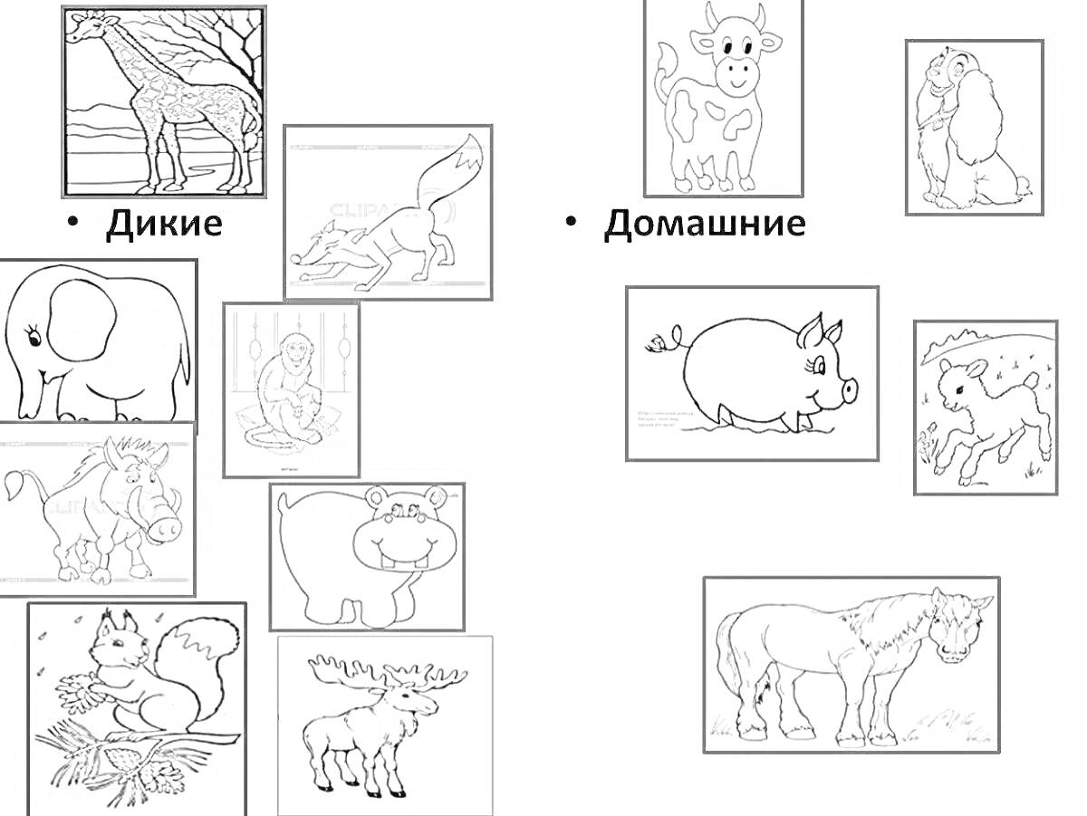 Раскраска Раскраска-дикие и домашние животные