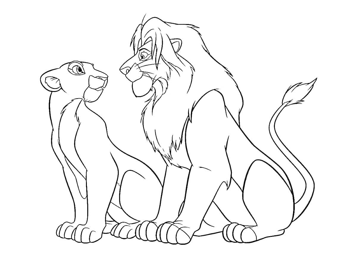 На раскраске изображено: Король лев, Львы, Взрослый лев, Сидят вместе