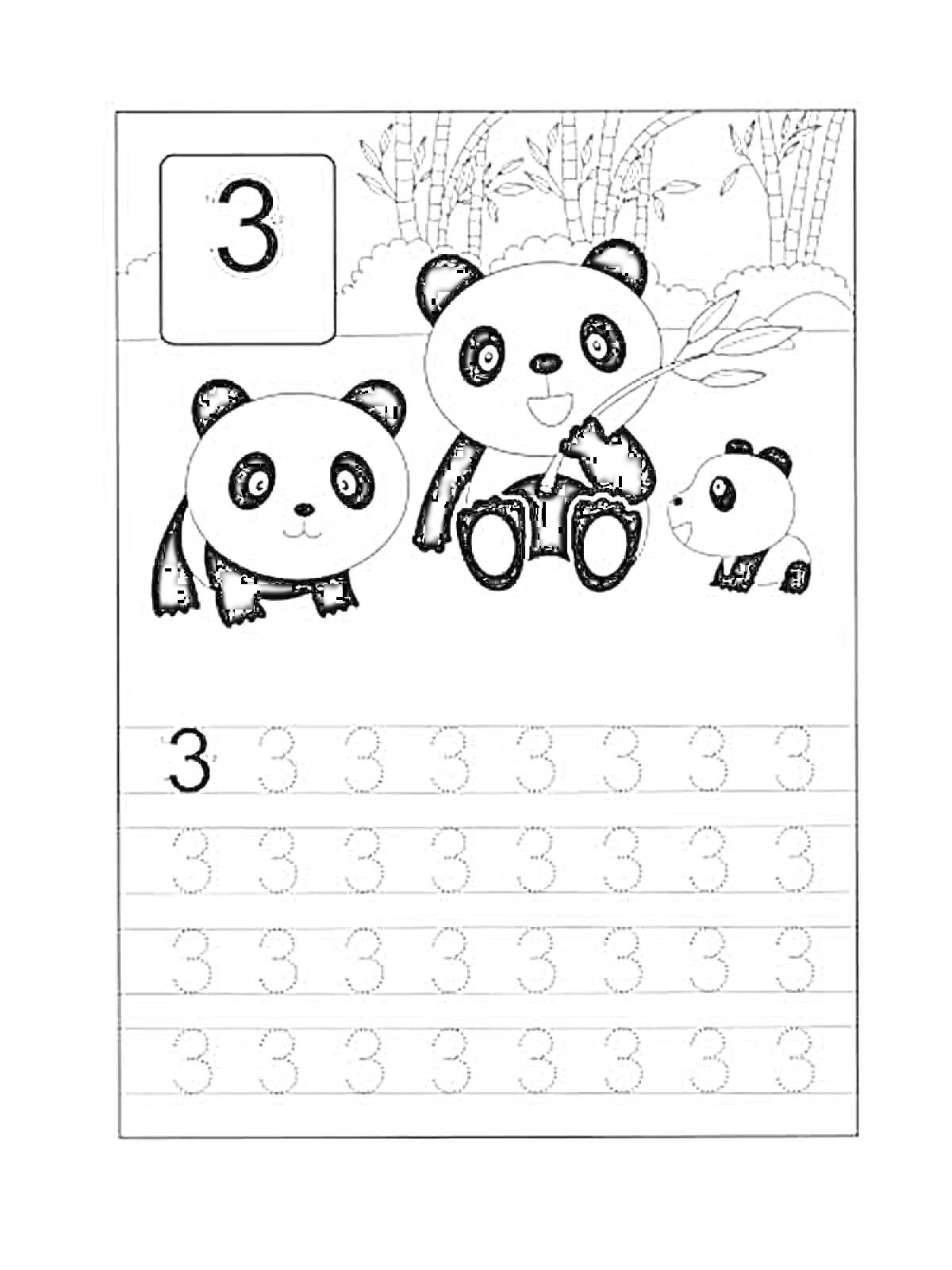 Раскраска Прописи цифры 3 с пандами и бамбуком