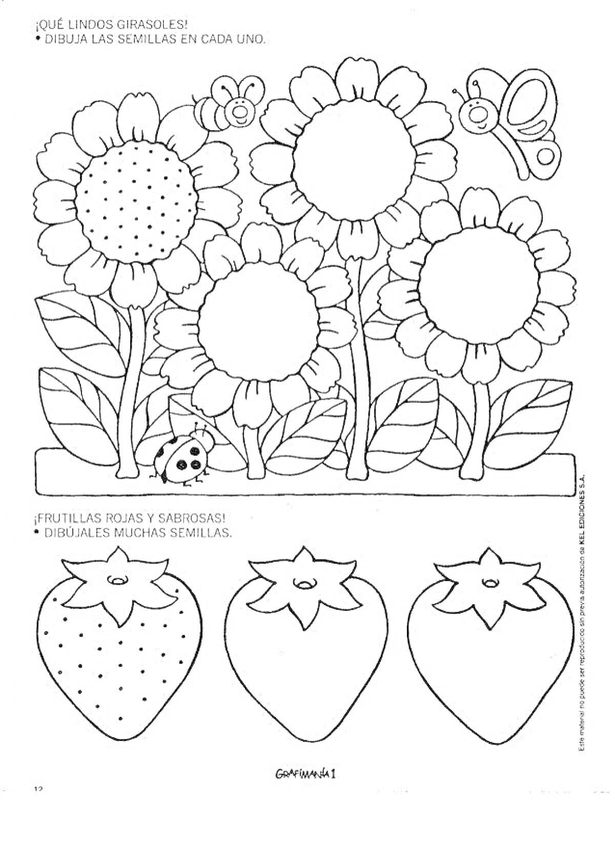 Раскраска Подсолнухи, бабочка, божья коровка и клубника для раскрашивания и развития мелкой моторики
