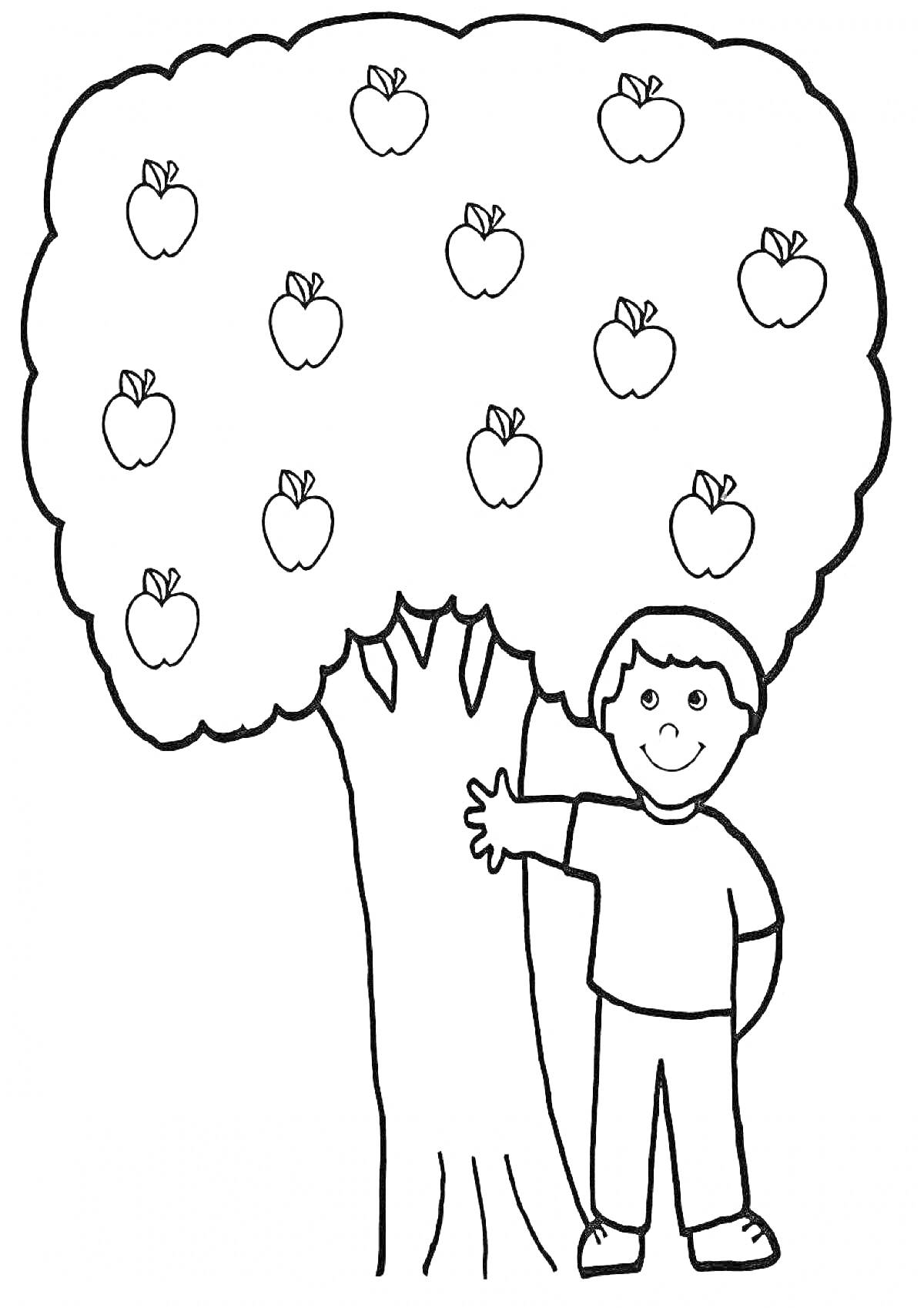 На раскраске изображено: Яблоня, Мальчик, Природа, Фрукты, Для детей, Яблоко, Деревья