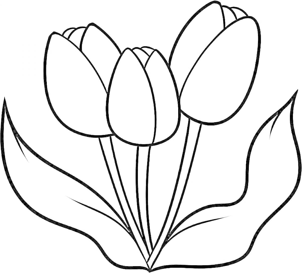 На раскраске изображено: Тюльпаны, Цветы, 3-4 года, Природа, Ботаника