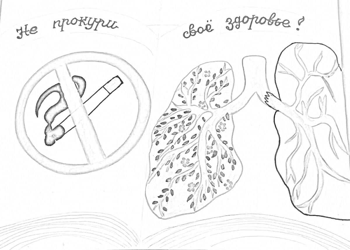 Раскраска запрет курения (перечеркнутая сигарета), здоровые легкие, поврежденные легкие, надпись 