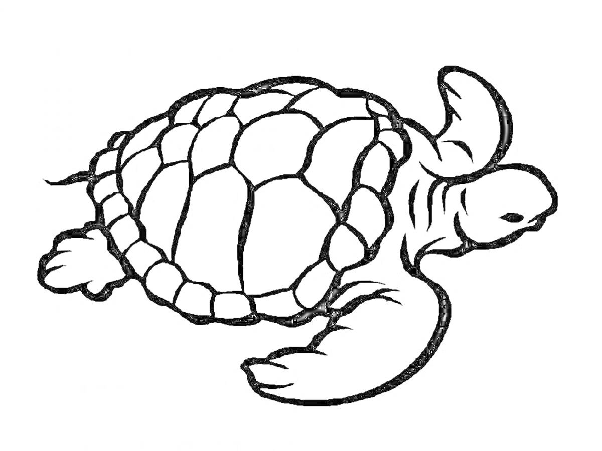 Черепаха с большими плавниками и панцирем, контурное изображение
