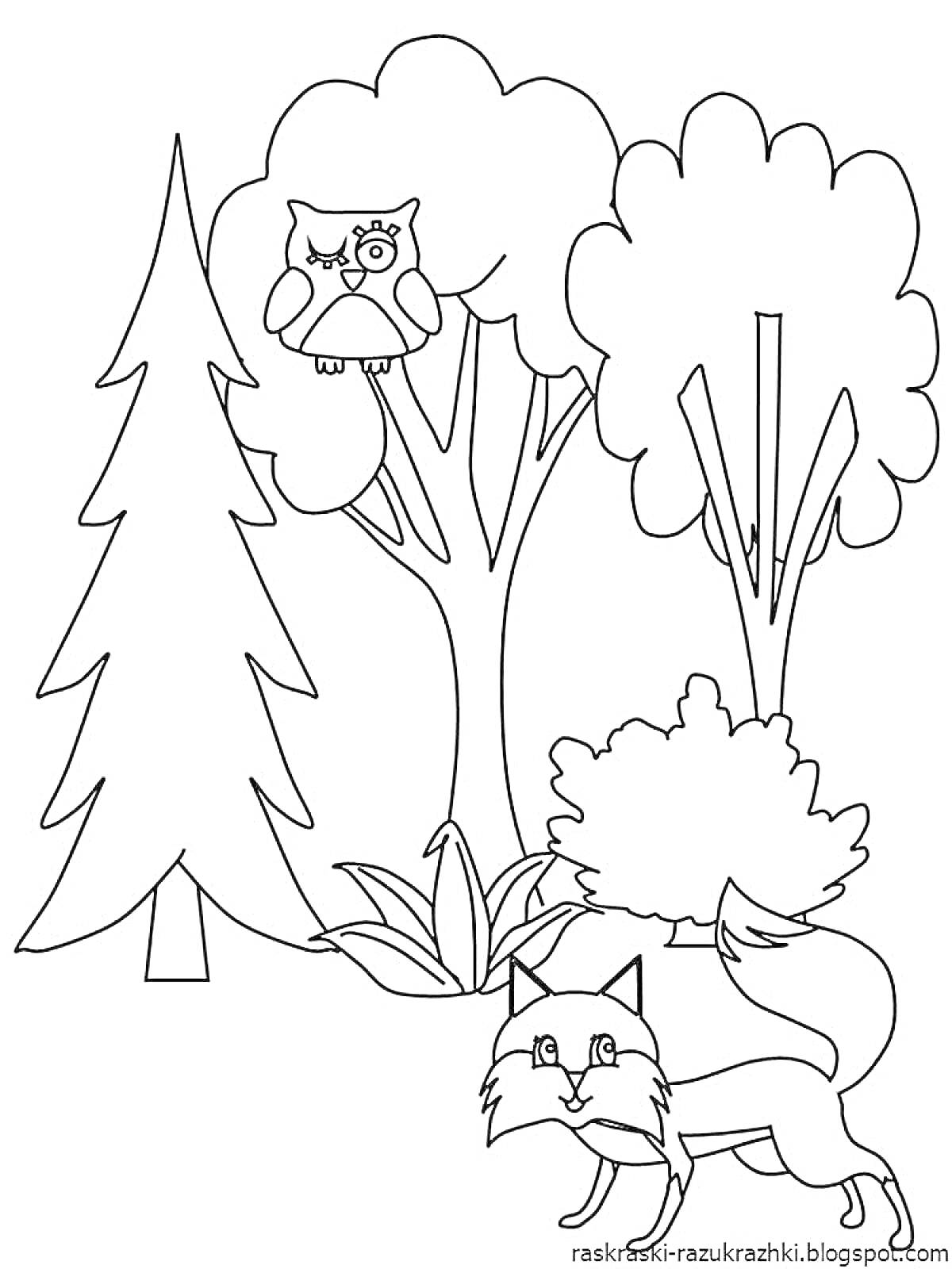 На раскраске изображено: Лес, Лиса, Сова, Цветы, Природа, Для детей, Деревья, Животные, Кусты, Хвойные деревья