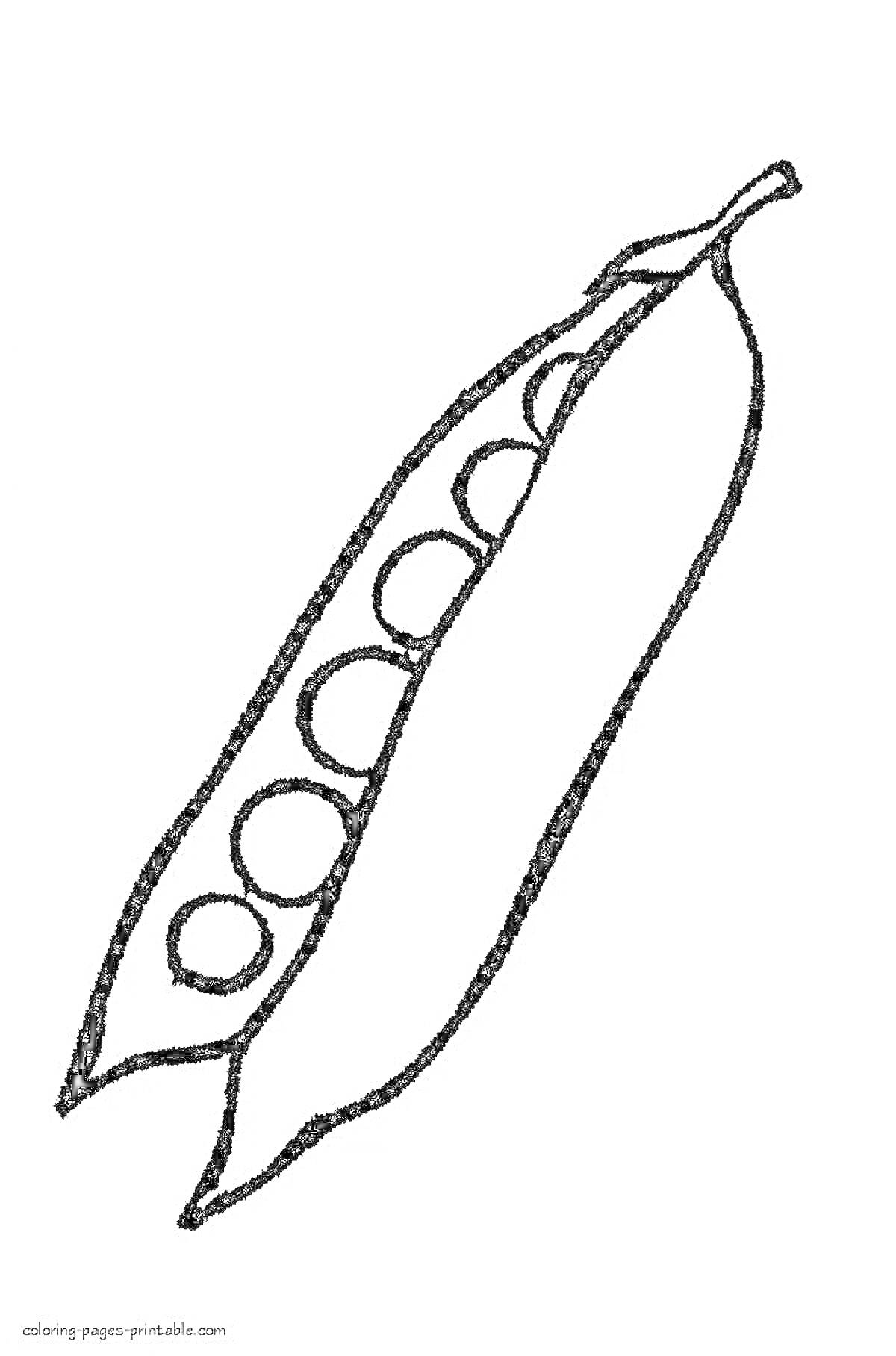 Раскраска Горох в стручке с открытыми горошинами для раскраски