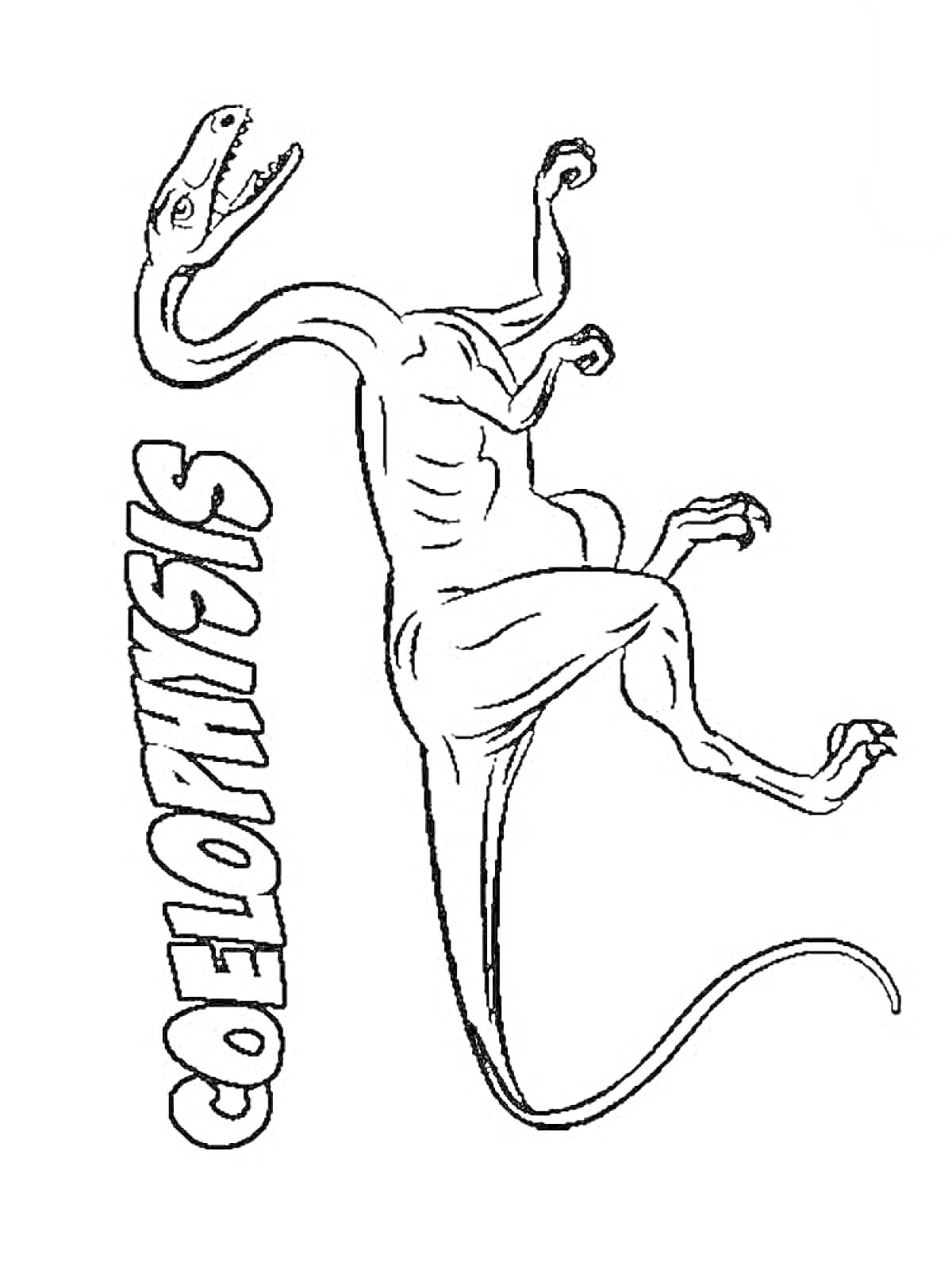 Раскраска Целофизис с названием динозавра