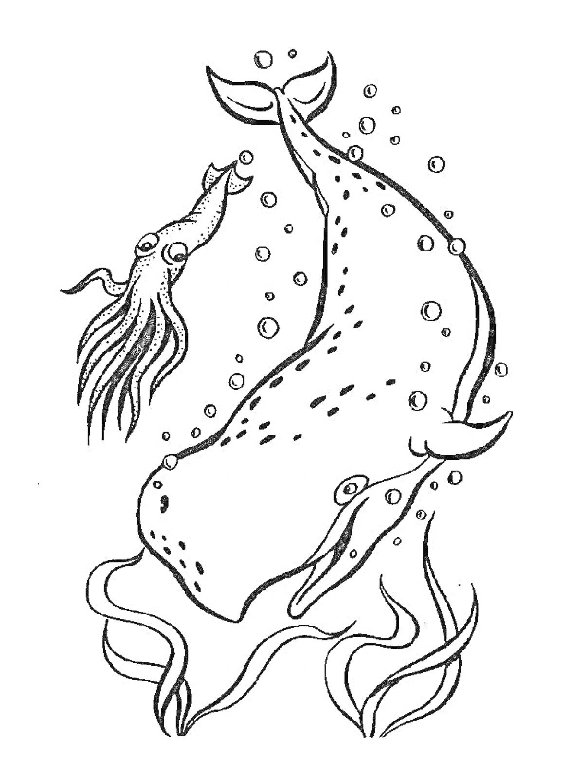 Раскраска Кашалот с кальмаром, пузырьки и водоросли