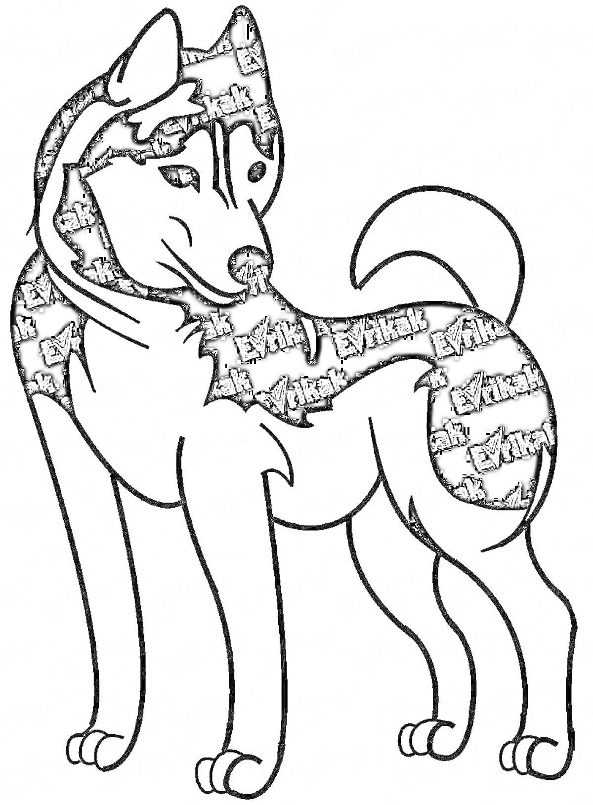 Раскраска Лайка собака черно-белая стоящая профиль