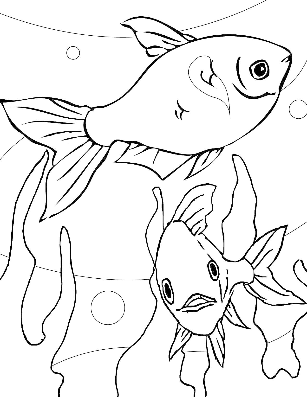 Раскраска Золотые рыбки в аквариуме с водорослями и пузырьками