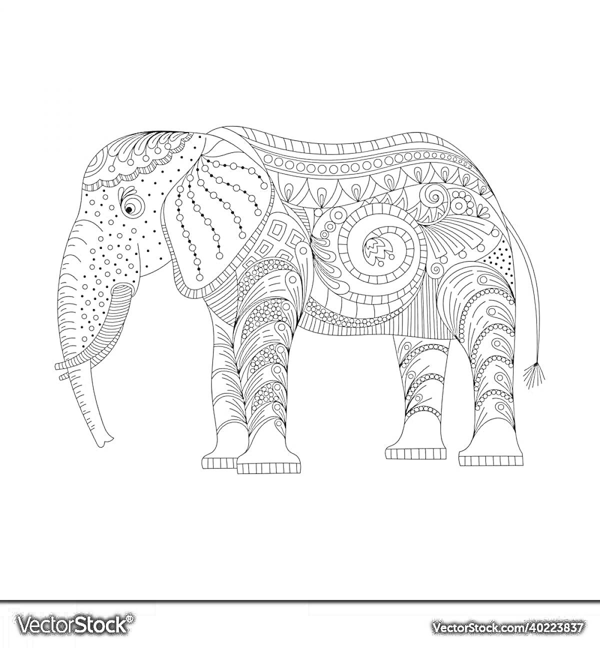 Раскраска со слоном по номерам с узорами и орнаментами
