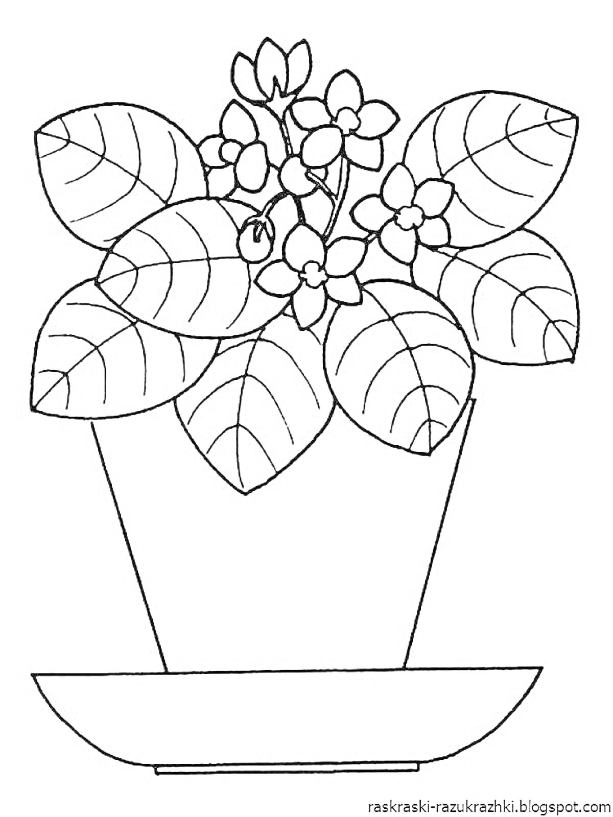 Раскраска Горшок с цветущим растением на поддоне, листья и цветы