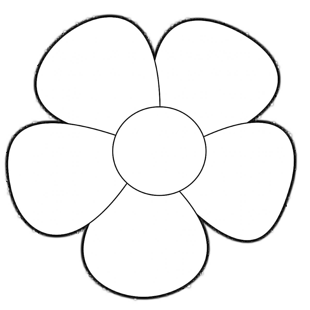 Раскраска простой цветок с пяти лепестками