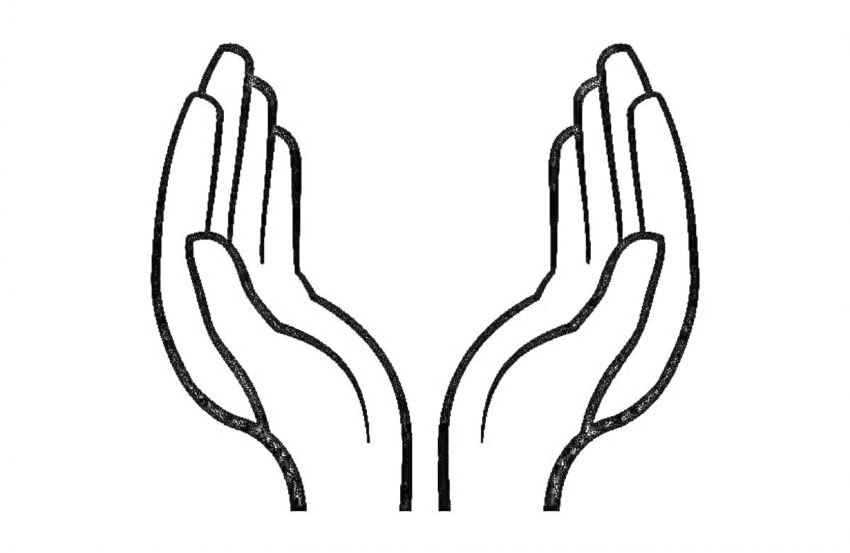 На раскраске изображено: Рука, Поднятые руки, Ладонь, Жесты, Контурные рисунки
