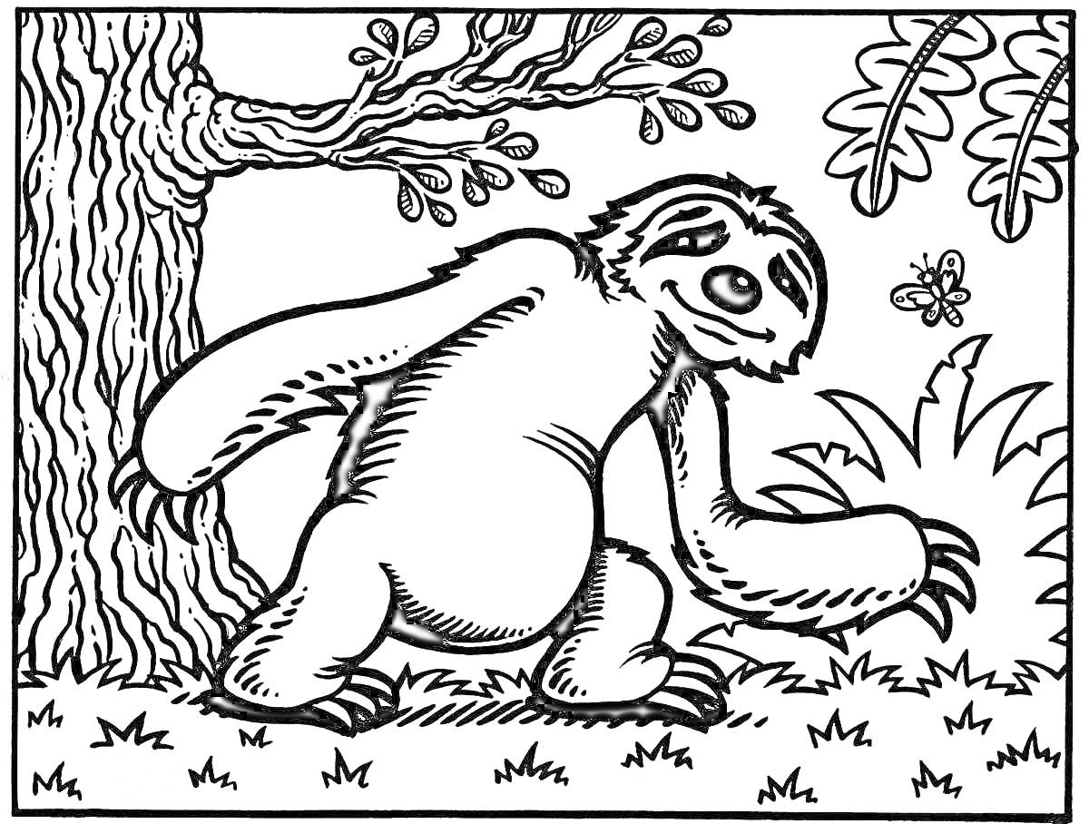 На раскраске изображено: Ленивец, Лес, Бабочка, Листья, Природа, Деревья, Трава