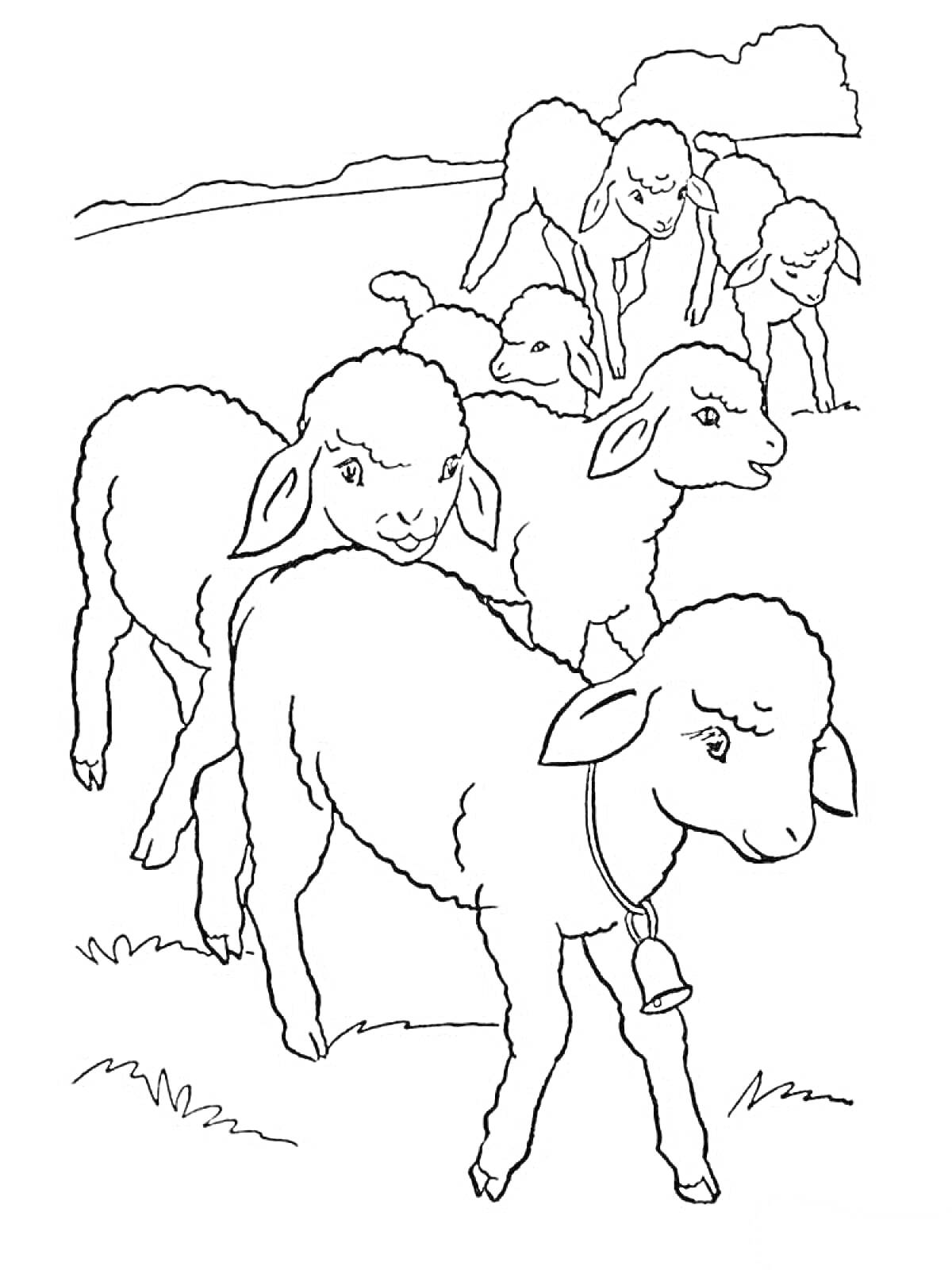 На раскраске изображено: Поле, Трава, Колокольчик, Домашние животные, Пастбище, Овечки