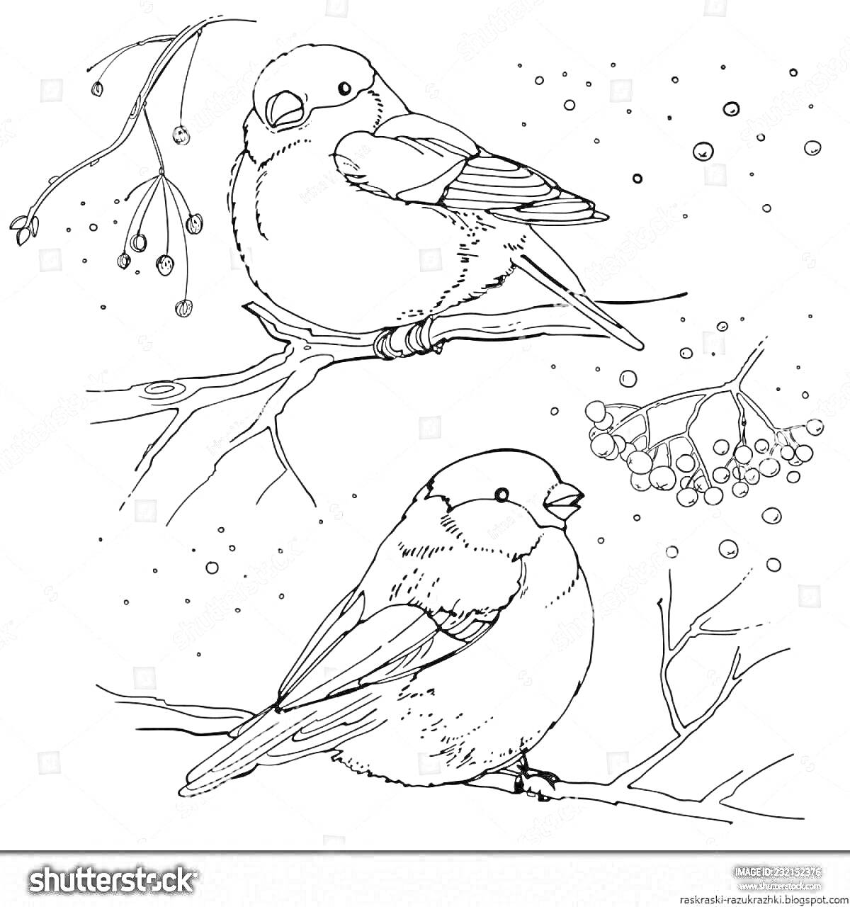 Раскраска Два снегиря на ветке с ягодами и мотивами зимнего пейзажа