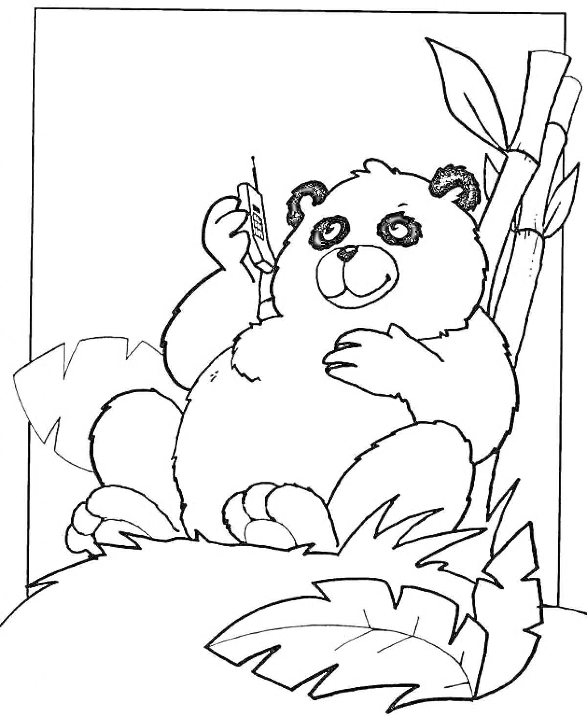 На раскраске изображено: Листья, Бамбук, Медведь, Природа, Растения, Из мультфильмов, Панды